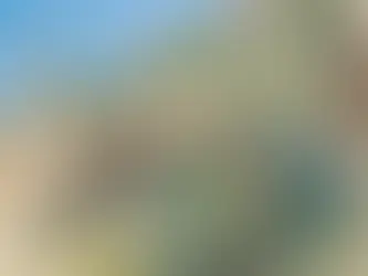 Monet's Dolceacqua: A Brushstroke of Sunshine on the Italian Riviera