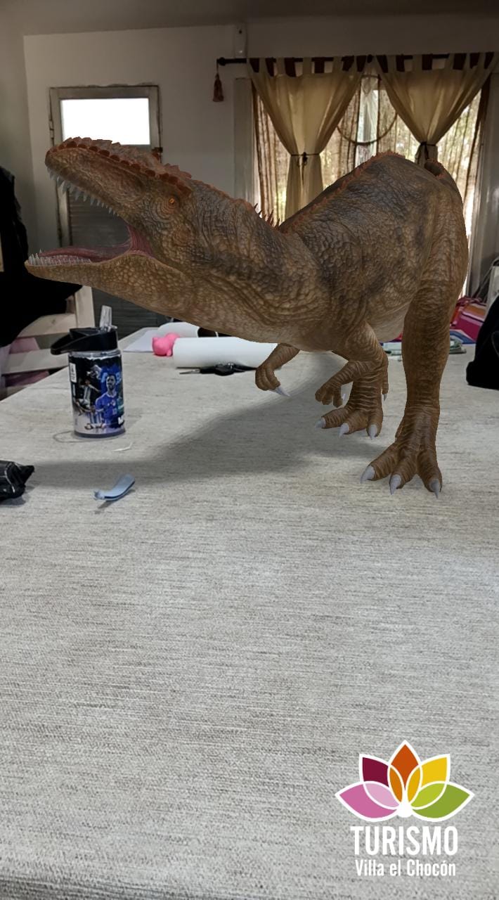 WhatsApp Image 2025-10-12 at 17.07.56.jpeg