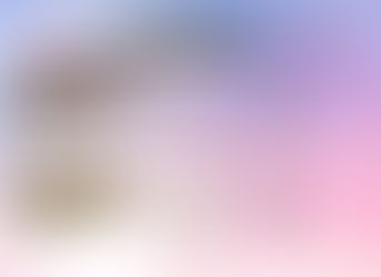 Pangya Debug - Toro Mascot 1 and Toro Mascot 2 Donation Package - December 2024