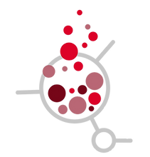 Logo-Lab-transparent.png