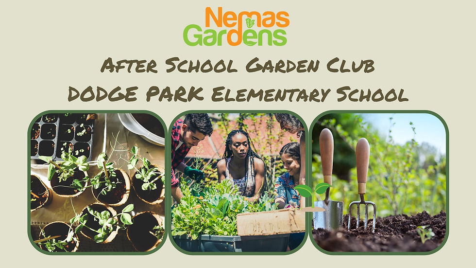 Garden Club DODGE PARK ES SY26/27