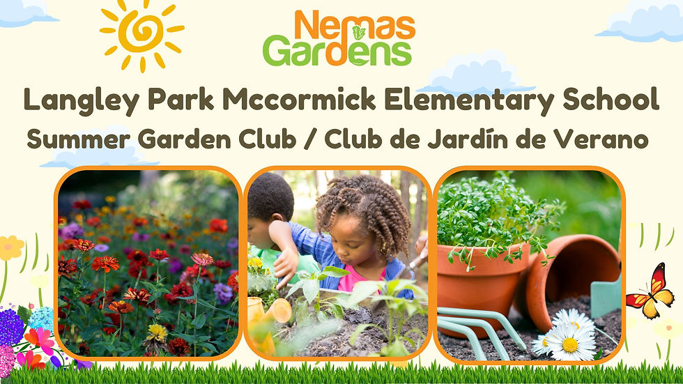 Summer Garden Club LANGLEY PARK-MCCORMICK ES SY25/26 | Club de Jardín de Verano  LANGLEY PARK–MCCORMICK ES SY25/26
