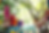 Loy Kratong 2022