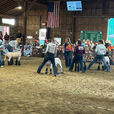 People showing lambs at Medina County Fair during the competition, spectators in background.