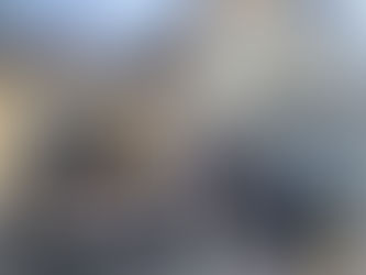 Föreningen Sis-tjejer samlade kraft på Fogelstad