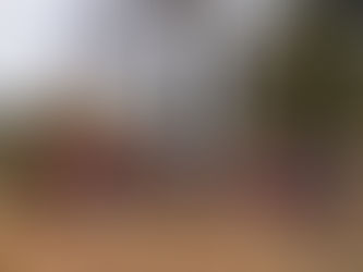 ユニファイドマラニック大会！