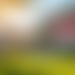 Tips for Choosing the Perfect Realtor to Buy Your Dream Home