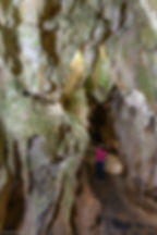 Cueva del Indio
