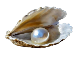 AAGNLAg10so_1779298302678.png