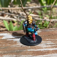 Dwarf Paladin