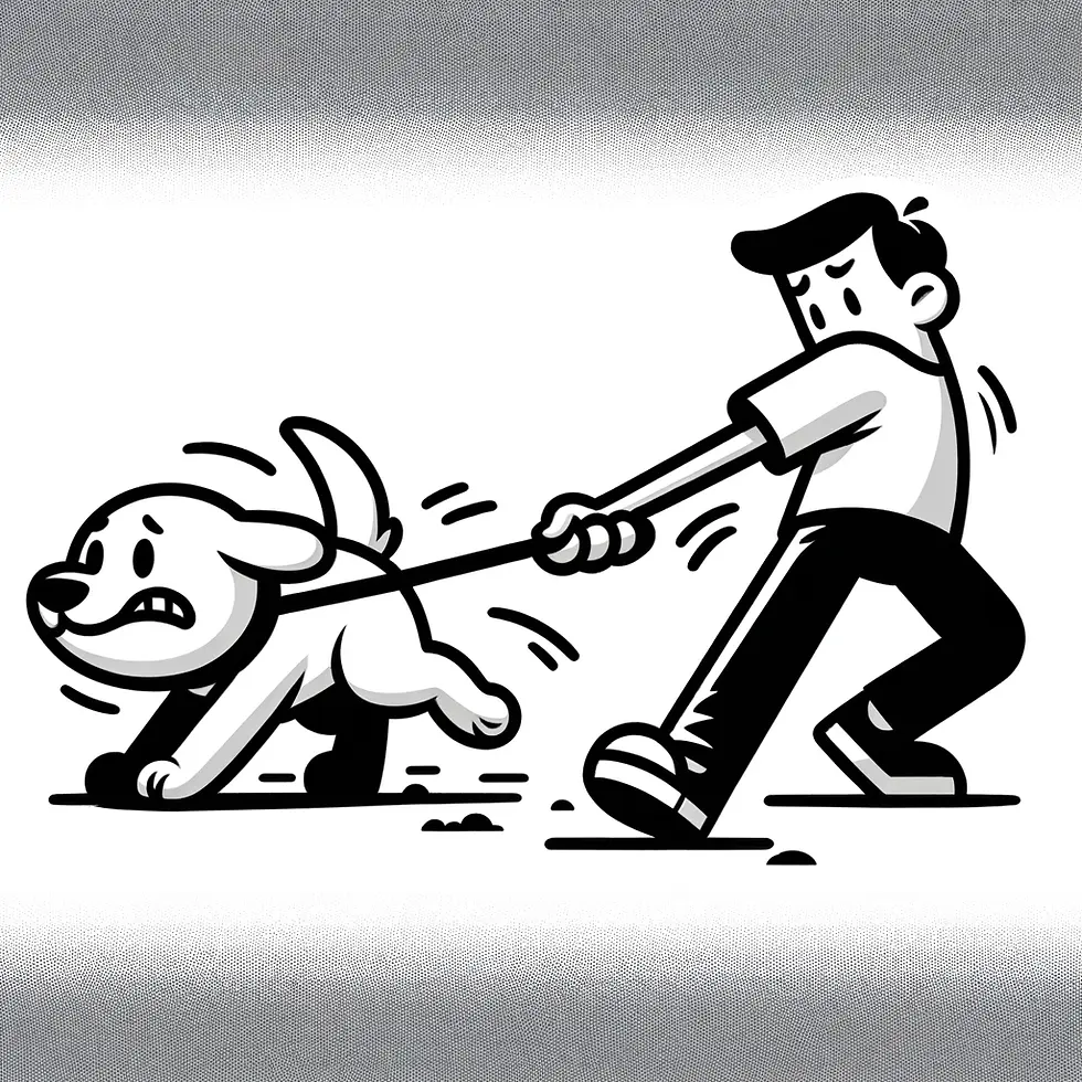 Perro tira de la correa