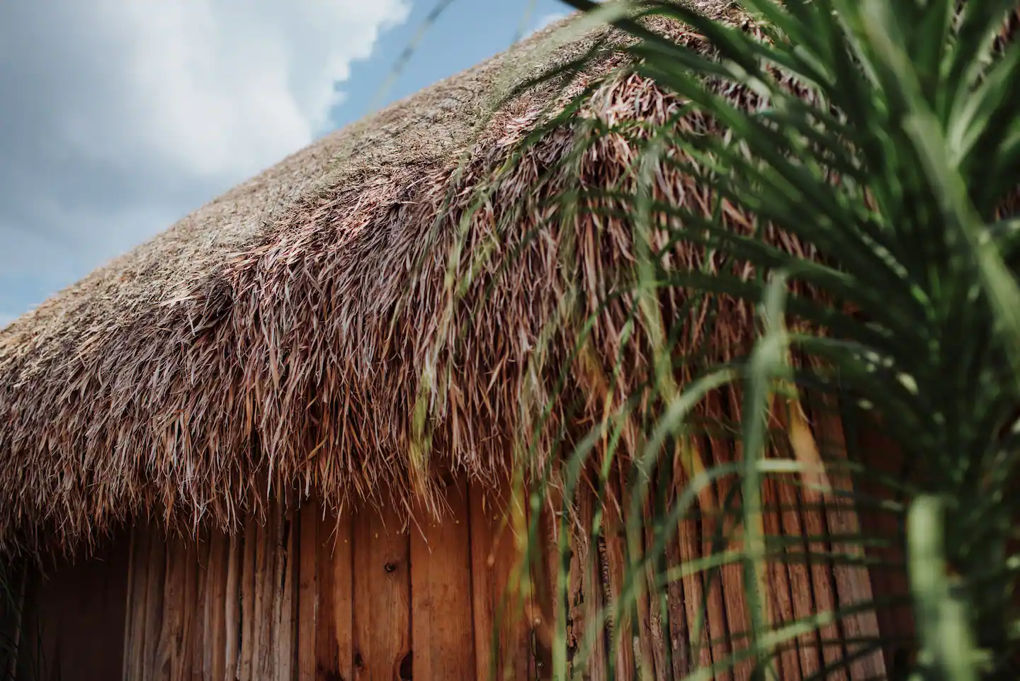 Villa Maya