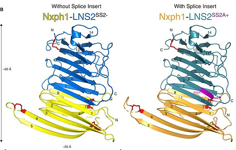 EMBJ-38-e101603-g002.jpg