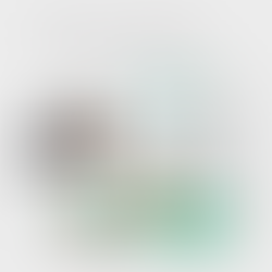 Choosing the Right PCD Pharma Products: Why Quality Comes First