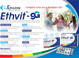 How to Start Pharma Export Business
