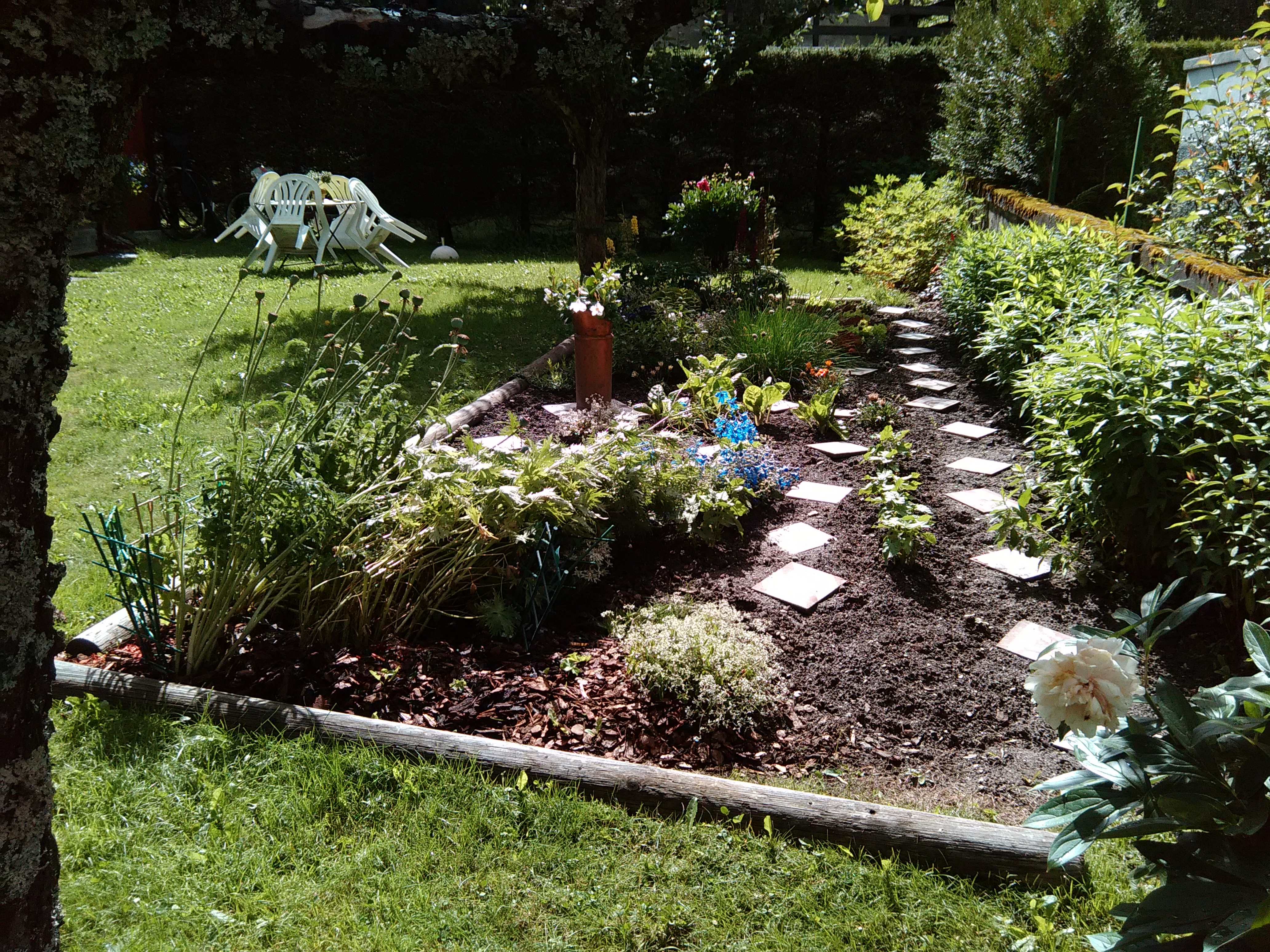 Le jardin