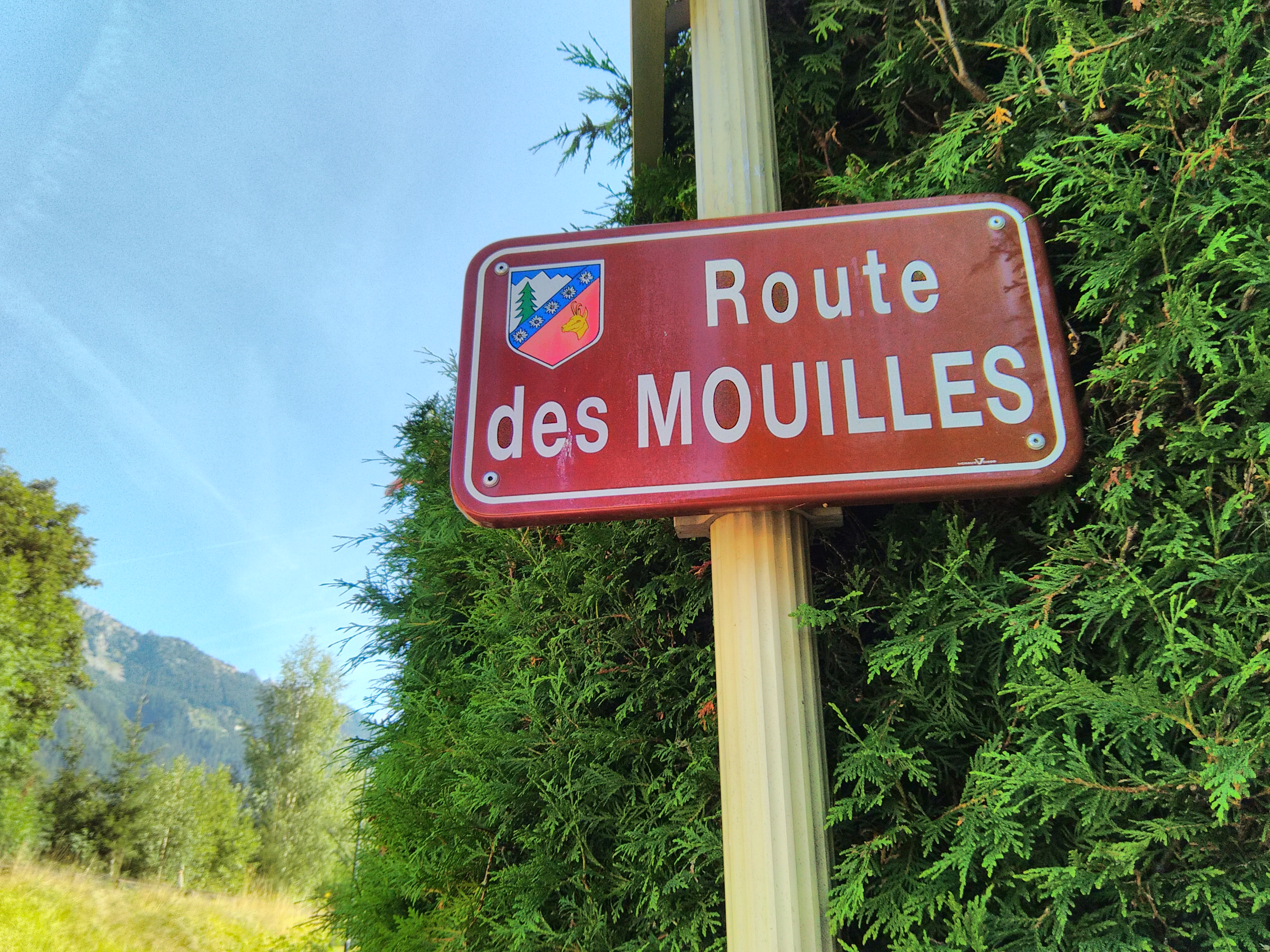 C'EST ICI!