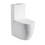 Thumbnail: Char Wall Faced Toilet