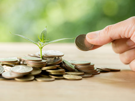 How To Make The Most of the Best Mutual Fund Software?