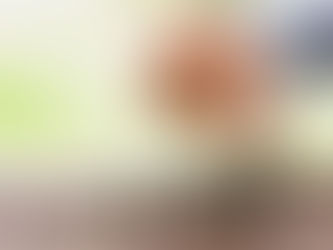 How The Top Mutual Fund Software Enables MFDs to Offer Fixed Income Investments?