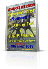 coverAstuces2018Trot1.jpg
