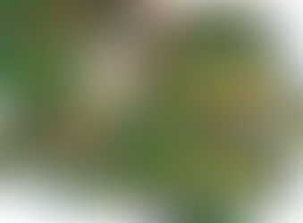 1.6 新復活節彩蛋位置圖