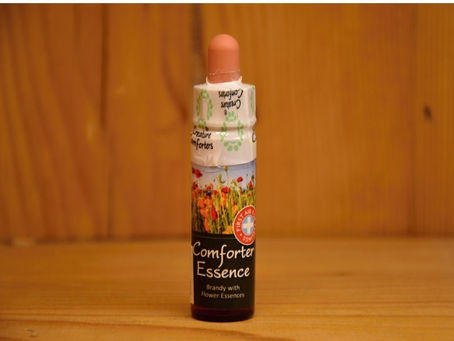 Bachova květová terapie a vše, co o ní potřebujete vědět