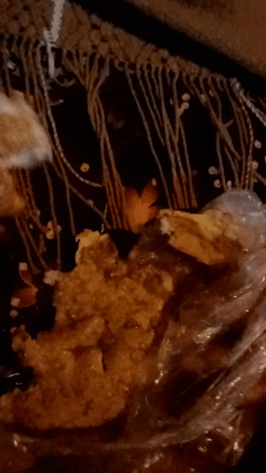 20220913_204118.gif