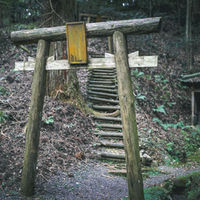 IMGL0736.jpg