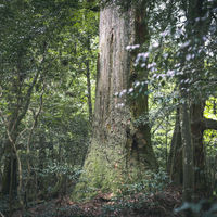 IMGL0689.jpg