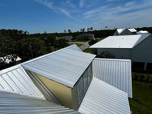 IMG_1816.jpg