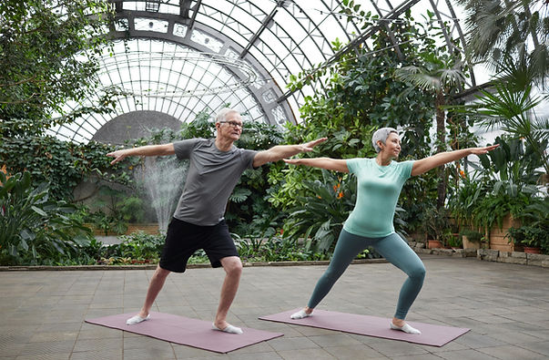 Standing Tai Chi exercise