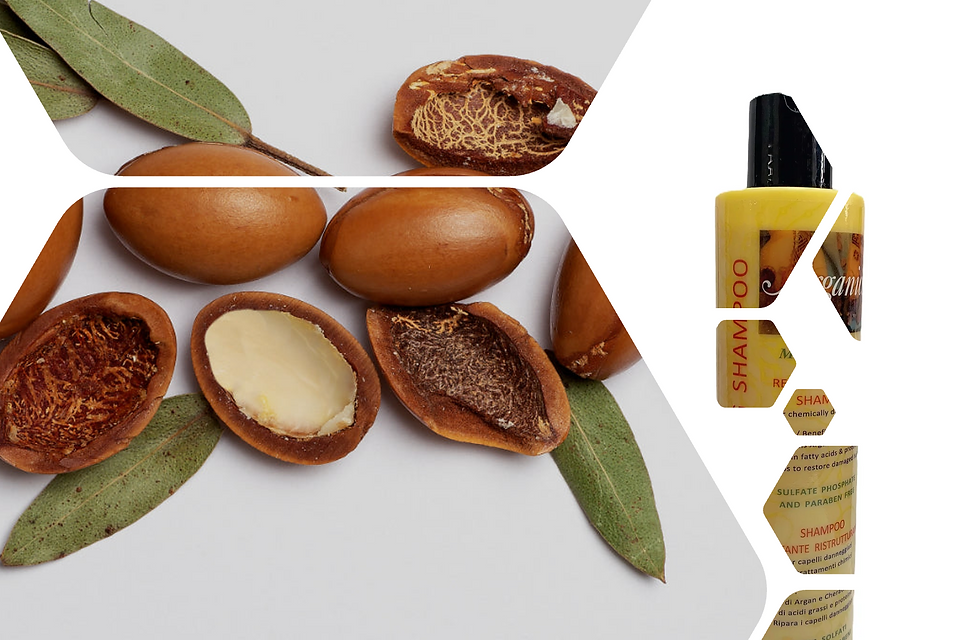 Thumbnail: Arganics Hair Repair Hydrating Shampoo with Argan Oil and Keratin 250 ml