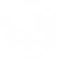 JGskull no back.png