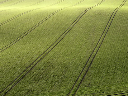 Arial View of Green Field_edited.jpg