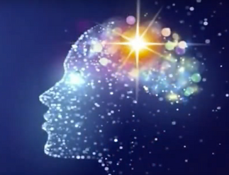 Brain middle copy.png