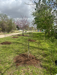 IMG_9929.jpeg