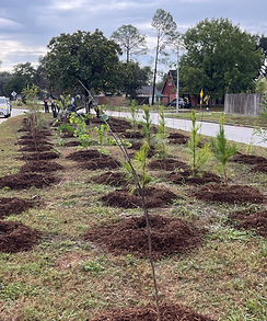 IMG_6522 2.HEIC