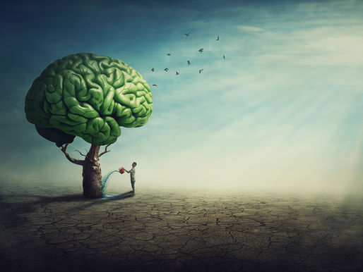 BRAIN HEALTH