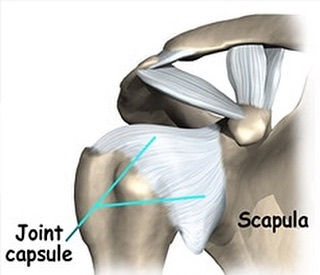 Chaturanga Dandasana (Low Plank) Pt 1