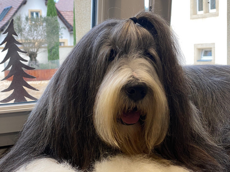 MENANDER SPIRIT OF ECSTASY "TITI"