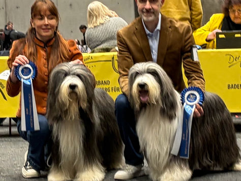 OFFENBOURG I et II (Allemagne)