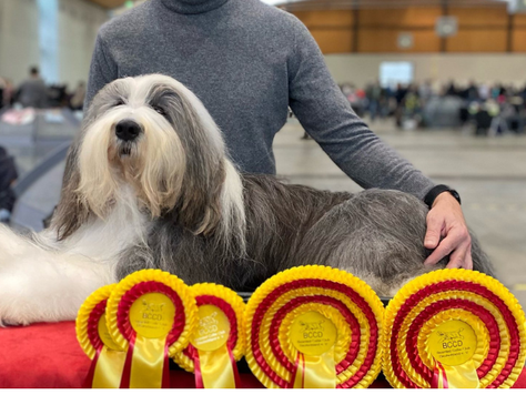 IDS KARLSRUHE (Allemagne)