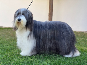 ROUGE BAISER DE CHESTER "ROMY"