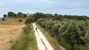 vila vicosa-0759.jpg