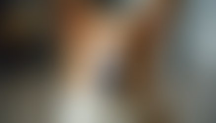 Train Your Dog with Proven Tips for Better Behavior: Effective Dog Training