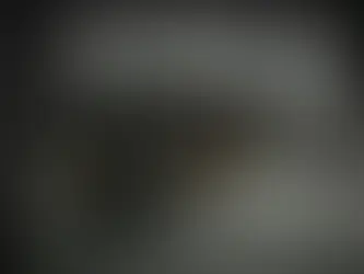 Puppy crate training 101