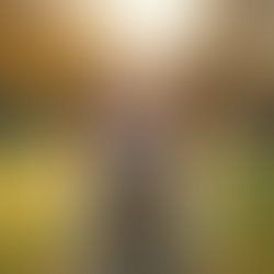 Unleashing Effective Dog Training Strategies