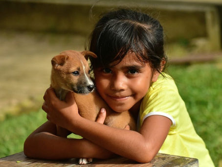 HOW TO GET A SECOND OPINION FROM A VET