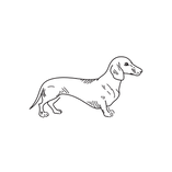 Untitled design (2).png